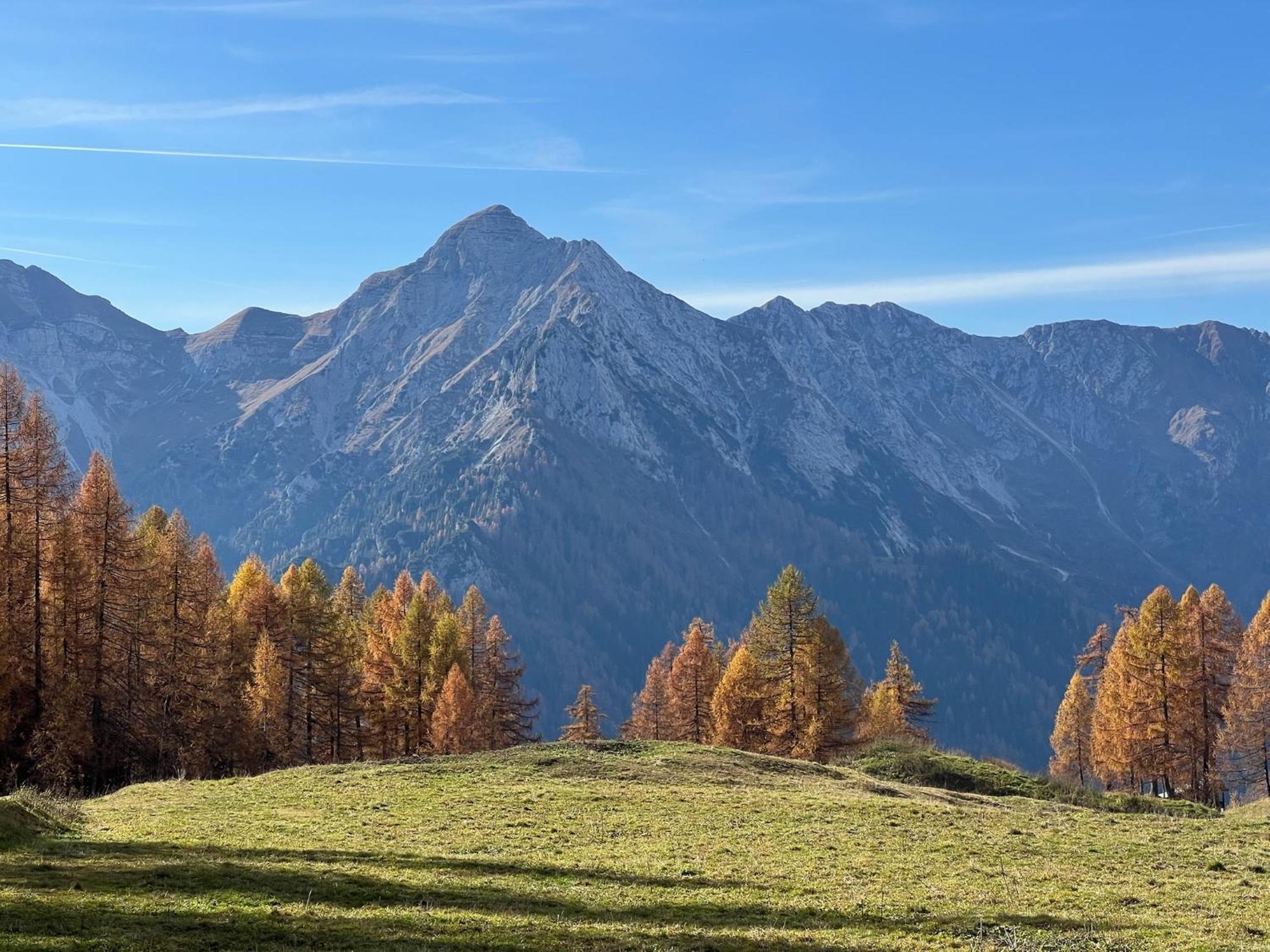 Botep Ai Tigli Bed & Breakfast San Pellegrino Terme Luaran gambar
